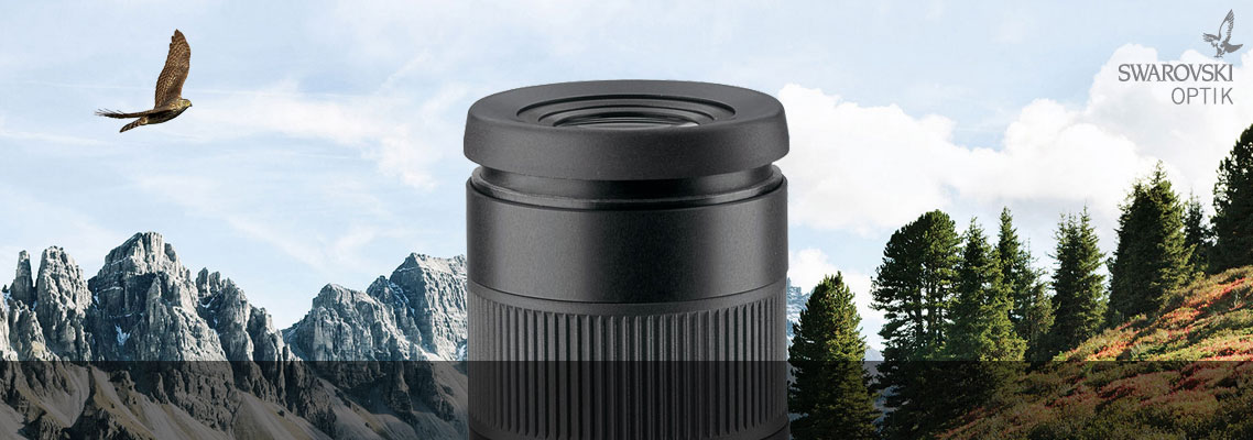 Swarovski Spotting Scope Eyepieces