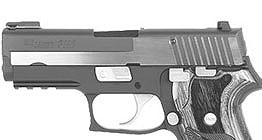 P220 .45ACP Carry