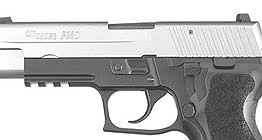 P226 .40 S&W