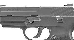 P250 Subcompact